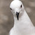 firouz222 :iconfirouz222: