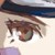 :iconfirst-dream: