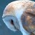 :iconfirst-flight03: