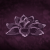 :iconfirstdecemberrose: