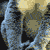 :iconFirstLight75:
