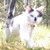 :iconfirstlynx:
