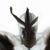 :iconfish-walker:
