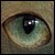 :iconfisher57: