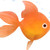 :iconfishfish5: