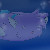 :iconfishkiplz: