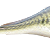 :iconfishnom3plz: