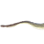 :iconfishnom4plz: