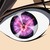 :iconfishofsword: