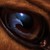 :iconfishsoupdragon: