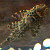 :iconfishtography:
