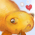 :iconfishyfishyoplz: