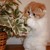 :iconfistmittenz: