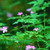 :iconfive-of-five: