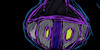group avatar