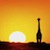 :iconfive-years-of-sun: