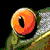 :iconfixedexpression: