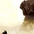 :iconfixer95: