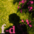 :iconfixum-dyrdum: