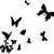 :iconfizhbone:
