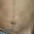 :iconfizyk: