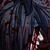 :iconfizzywolf:
