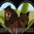 :iconflailingbananabear: