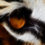 :iconflamablep: