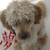 :iconflame1111-1: