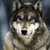 :iconflameheart97: