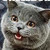:iconflamekitofunicorns: