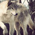 :iconflamephoenyx: