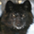 :iconflamewolf: