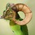 FlamezMcWhitey :iconflamezmcwhitey: