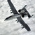 :iconflaming-dolphin: