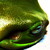 :iconflamingavocado: