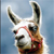 :iconflamingllama: