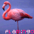 :iconflamingosrule21: