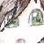 :iconflamingsox:
