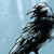 :iconflammenfuchs: