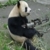 :iconflamomilk: