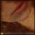 :iconFlapOfButterfyWings: