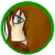 :iconflarethehedgehog: