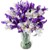 :iconflash-of-light: