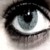 :iconflashandcapture: