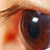 :iconflashbackfussion: