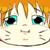 :iconflashblank: