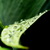 :iconflashcrow2000: