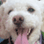 :iconflashfighter: