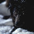 :iconflashfloodindigo: